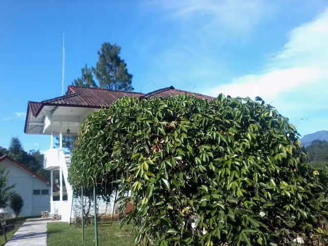 5 Bedroom Villa
