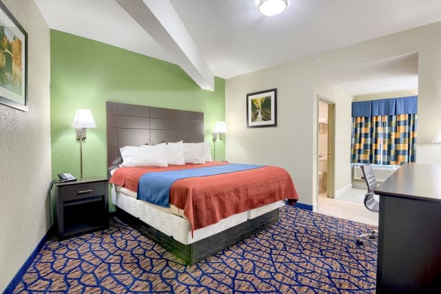 Room, 1 King Bed, Non Smoking