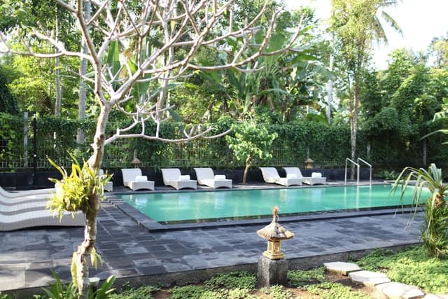 Superior Room, 1 King Bed, Pool View