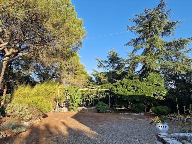Studio (Casetta)