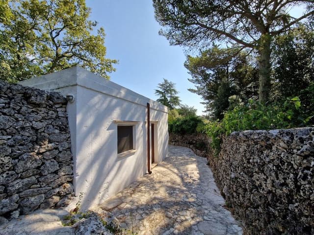 Suite (Alcova)