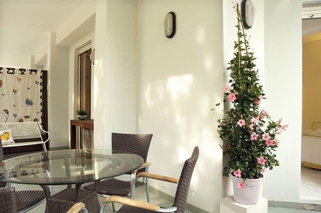 Apartment-Suite Superior DALIA