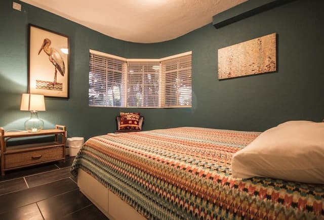 Room, 1 King Bed