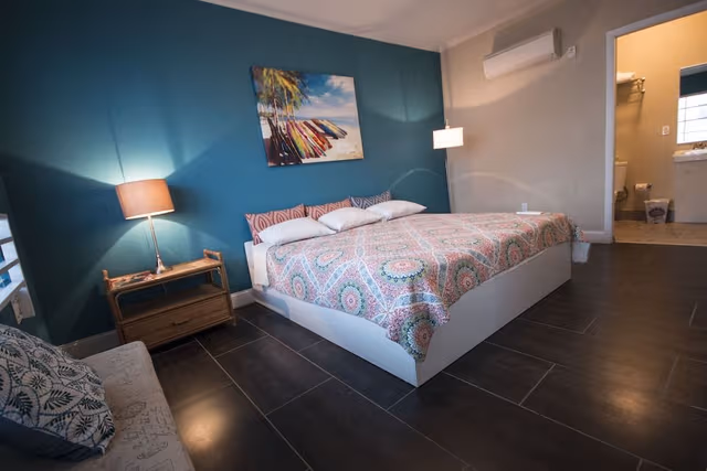 Room, 1 King Bed
