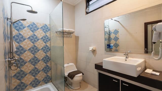 Executive Double or Twin Room