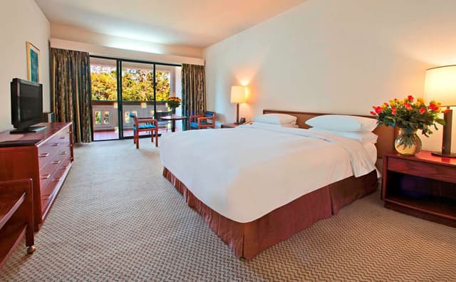 KING EXECUTIVE ROOM
