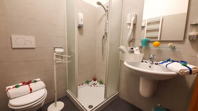 Triple Room (102)