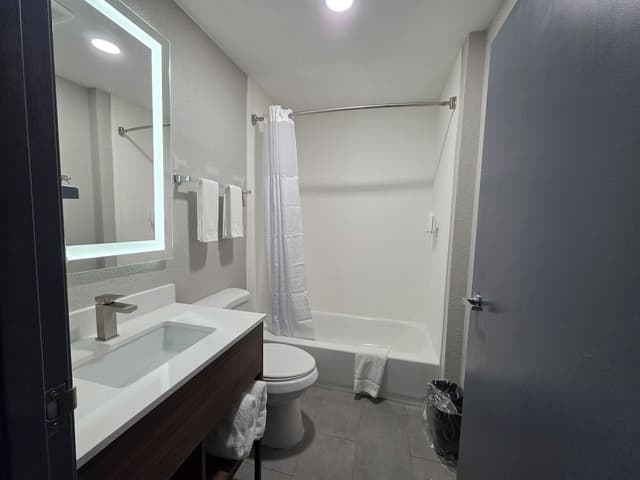 Deluxe Room, 1 King Bed, Non Smoking