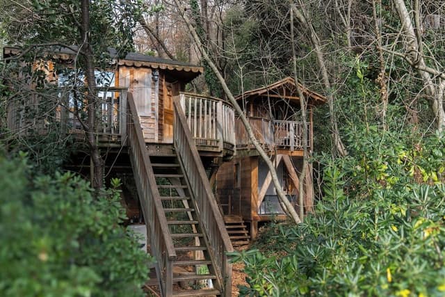 Family Tree House, 2 Bedrooms (King Louie & Mowgli)