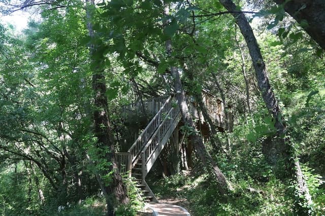 Tree House (Shere Khan)