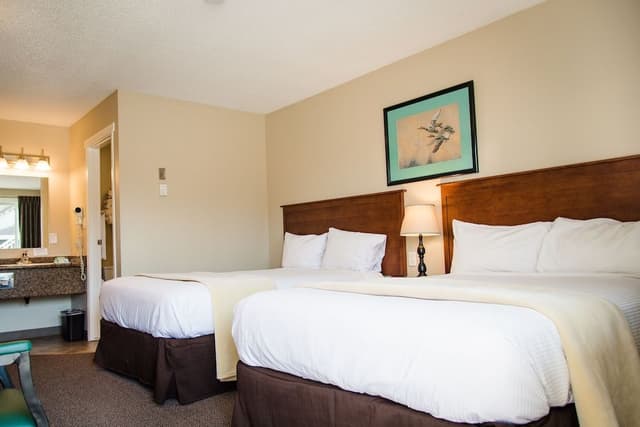 Standard Double Room, 2 Double Beds