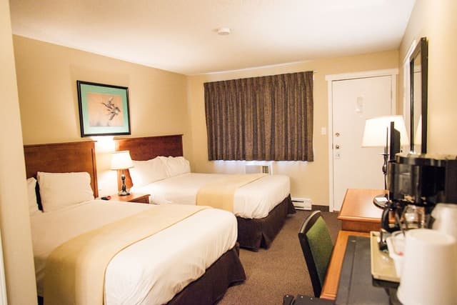 Standard Double Room, 2 Double Beds