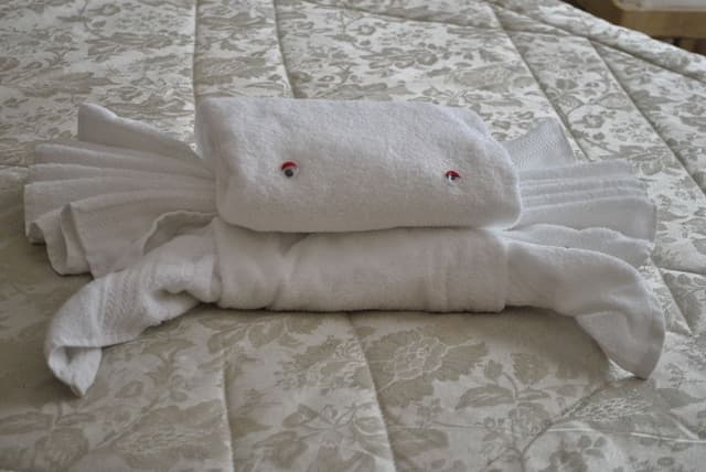 Deluxe Double Room, Balcony