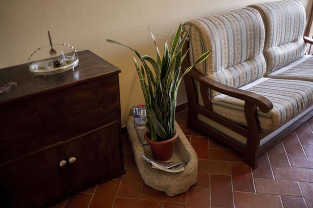 Apartment, 2 Bedrooms, Courtyard View
