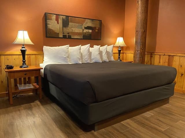 Room, 1 King Bed
