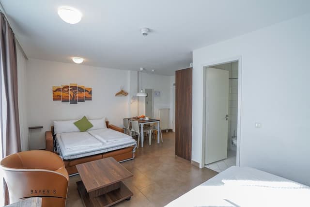 Studio, 1 Queen Bed with Sofa bed