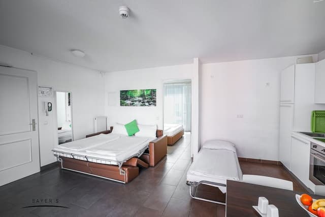 Standard Apartment, 1 Queen Bed with Sofa bed