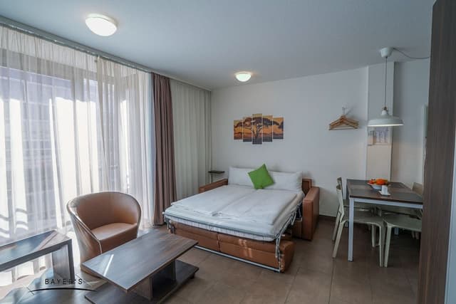 Studio, 1 Queen Bed with Sofa bed