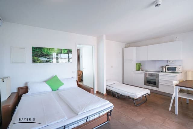Standard Apartment, 1 Queen Bed with Sofa bed