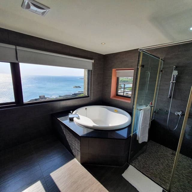 Deluxe Double Room, Ocean View (Room6)