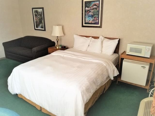 Deluxe Single Room, 1 Queen Bed, Accessible, Refrigerator & Microwave