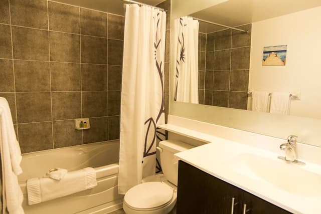 Deluxe Condo, 2 Bedrooms
