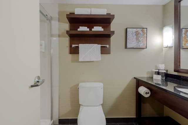 Suite, 1 King Bed, Non Smoking (Walk-in Shower)