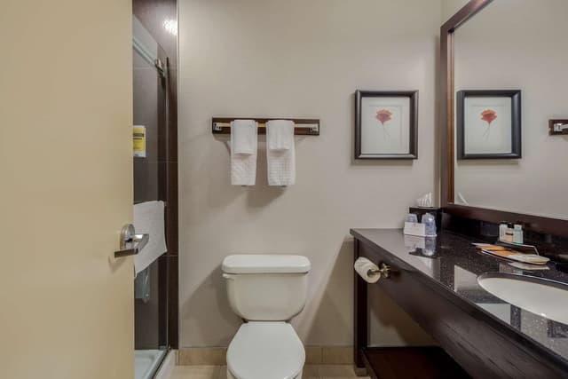Suite, 1 King Bed, Non Smoking (Walk-in Shower)