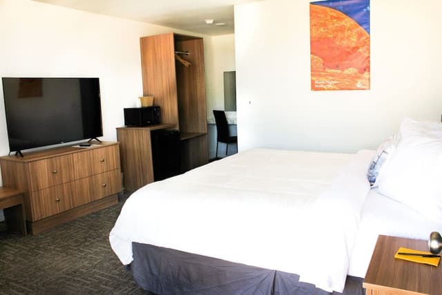 Room, 1 King Bed