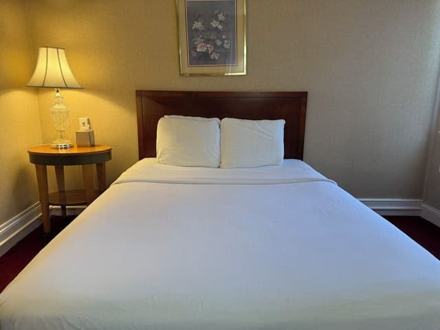 Standard Room, 1 Double Bed