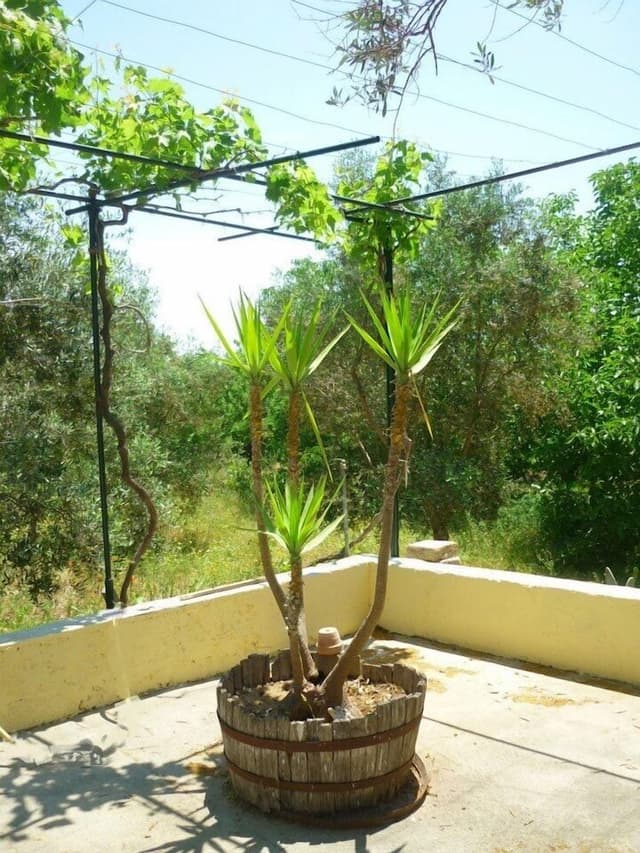 Apartment, 2 Bedrooms, Ground Floor (Mayor)