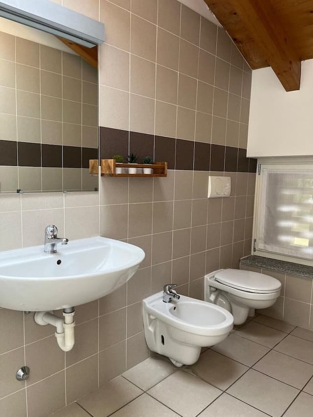 Basic Double or Twin Room