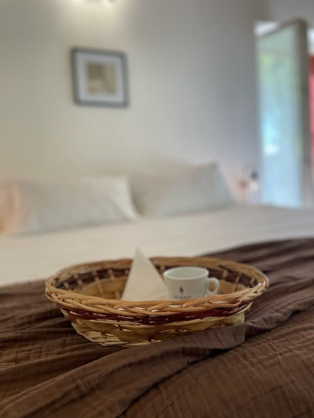 Basic Double Room