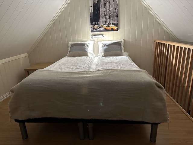 Basic Duplex, 1 Queen Bed with Sofa bed