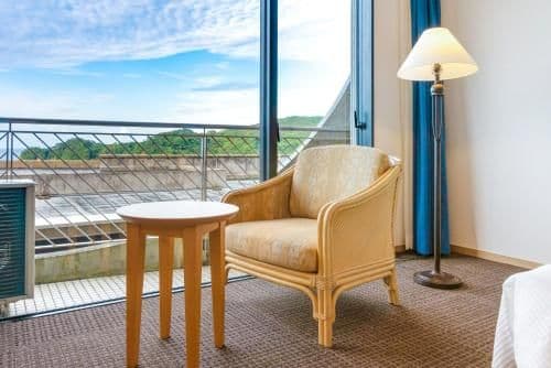 Standard Room without View