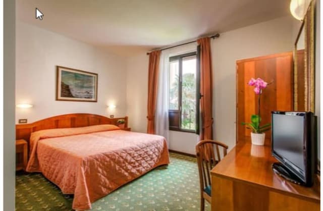 Double or Twin Room