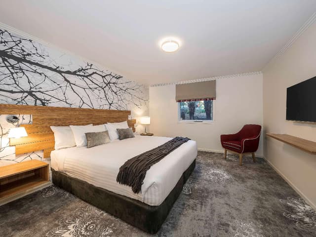 1 Bedroom Apartment 1 King Bed