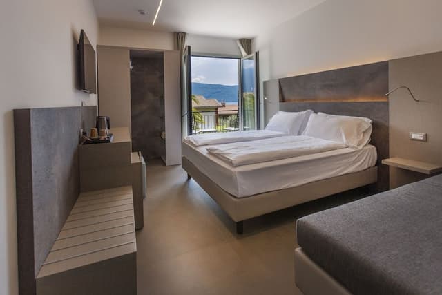 Room, 1 King Bed