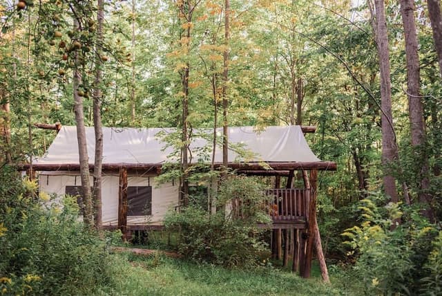 Electric King tent