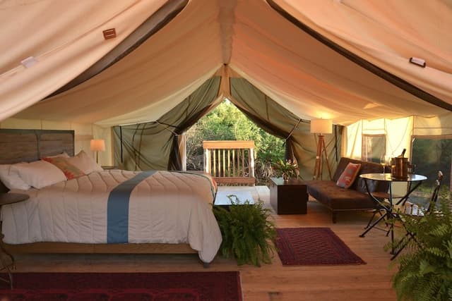Electric King tent