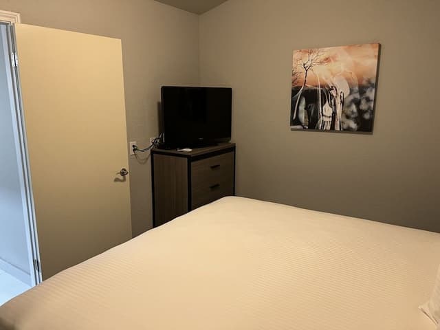 Standard Suite