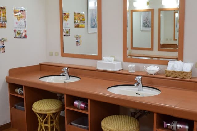 Nupuri wing Japanese style room-No smoking(Main Wing/No private bath and toilet)
