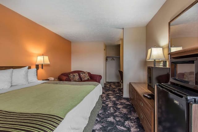 Standard Room, 1 King Bed, Non Smoking