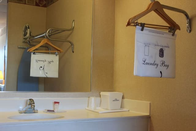 Standard Room, 1 King Bed, Refrigerator & Microwave