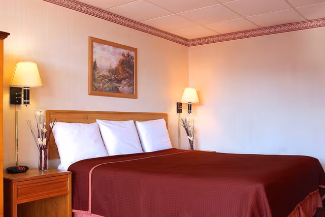 Standard Room, 1 King Bed, Refrigerator & Microwave