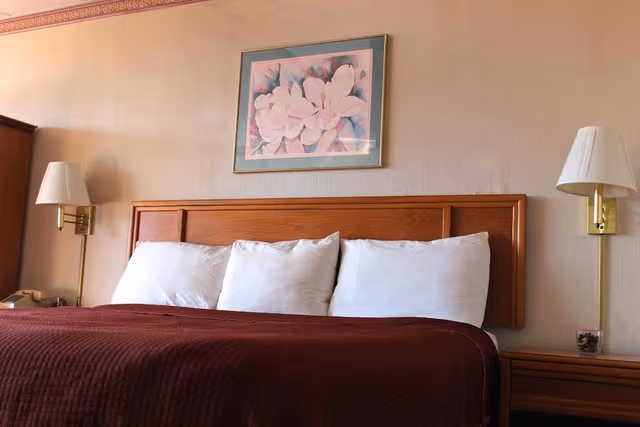 Deluxe Room, 1 King Bed, Refrigerator & Microwave