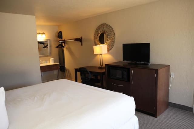 Executive one king bed non smoking