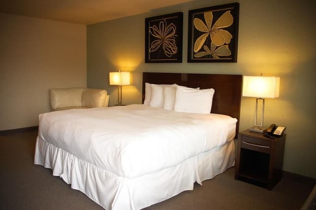 Executive one king bed non smoking