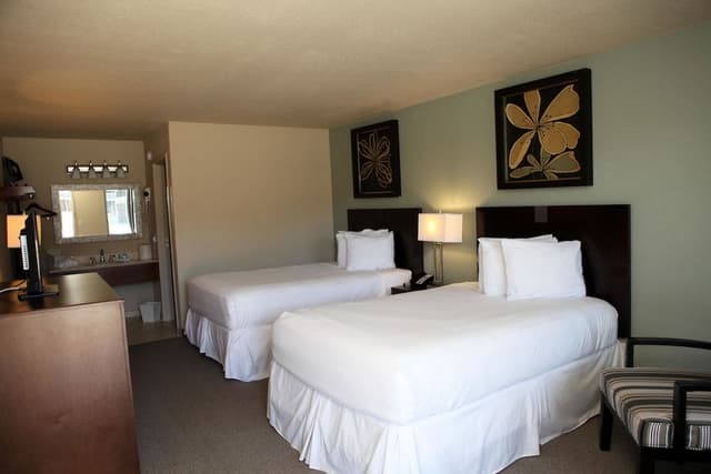 Executive two double bed non smoking