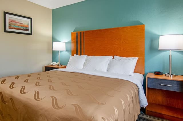 Room, 1 King Bed, Accessible, Non Smoking (Oversized Walk-In Shower)